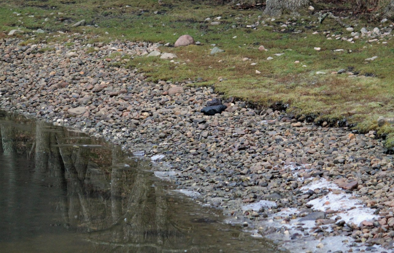 Stone Beach reflections