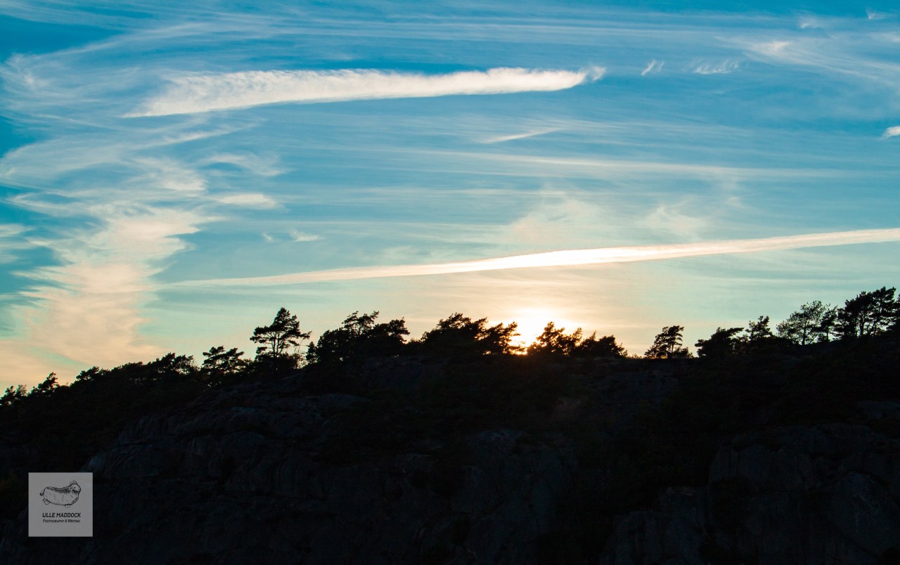 Out of words&nbsp;Wednesday