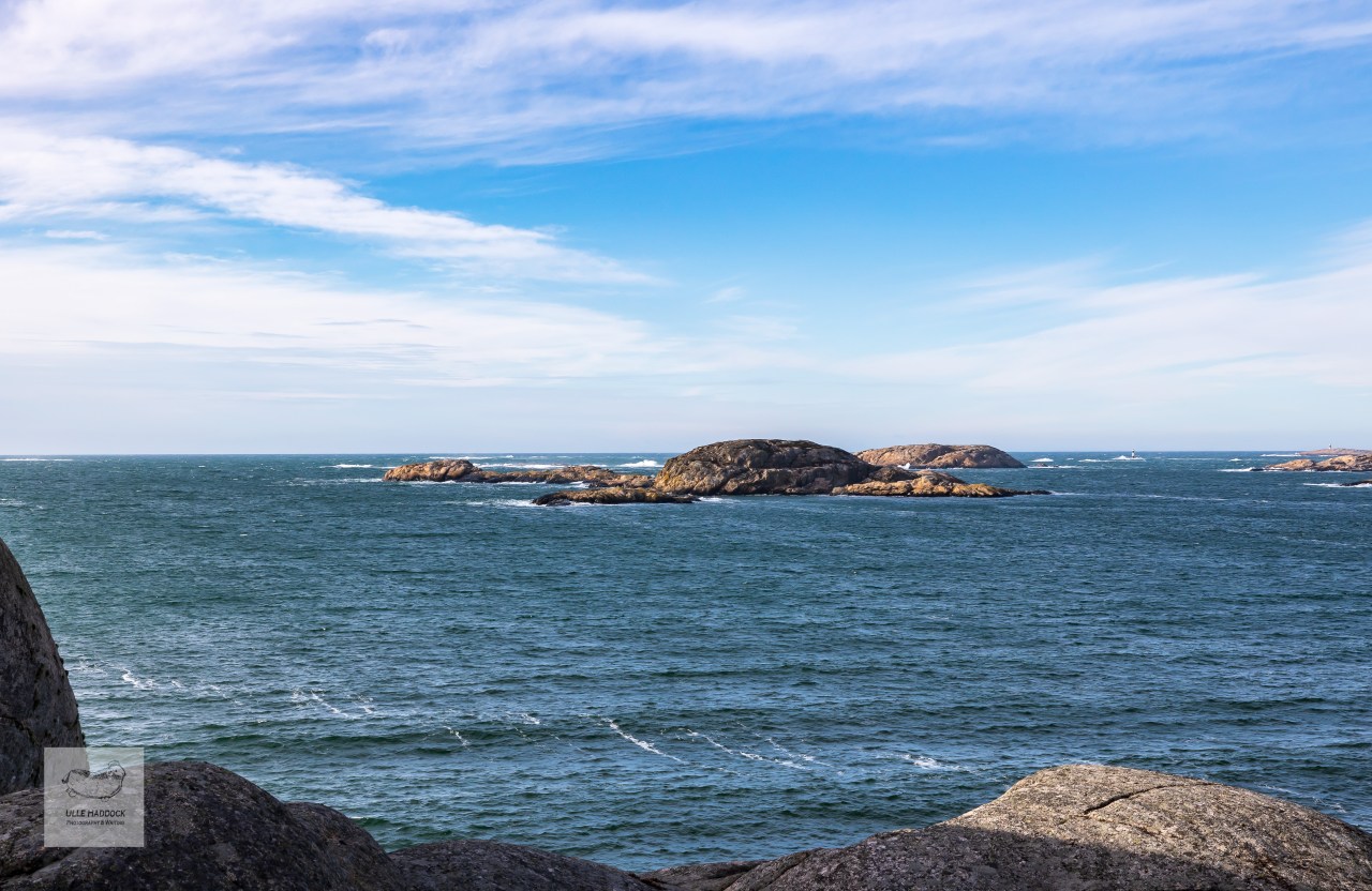 Islands in the&nbsp;storm