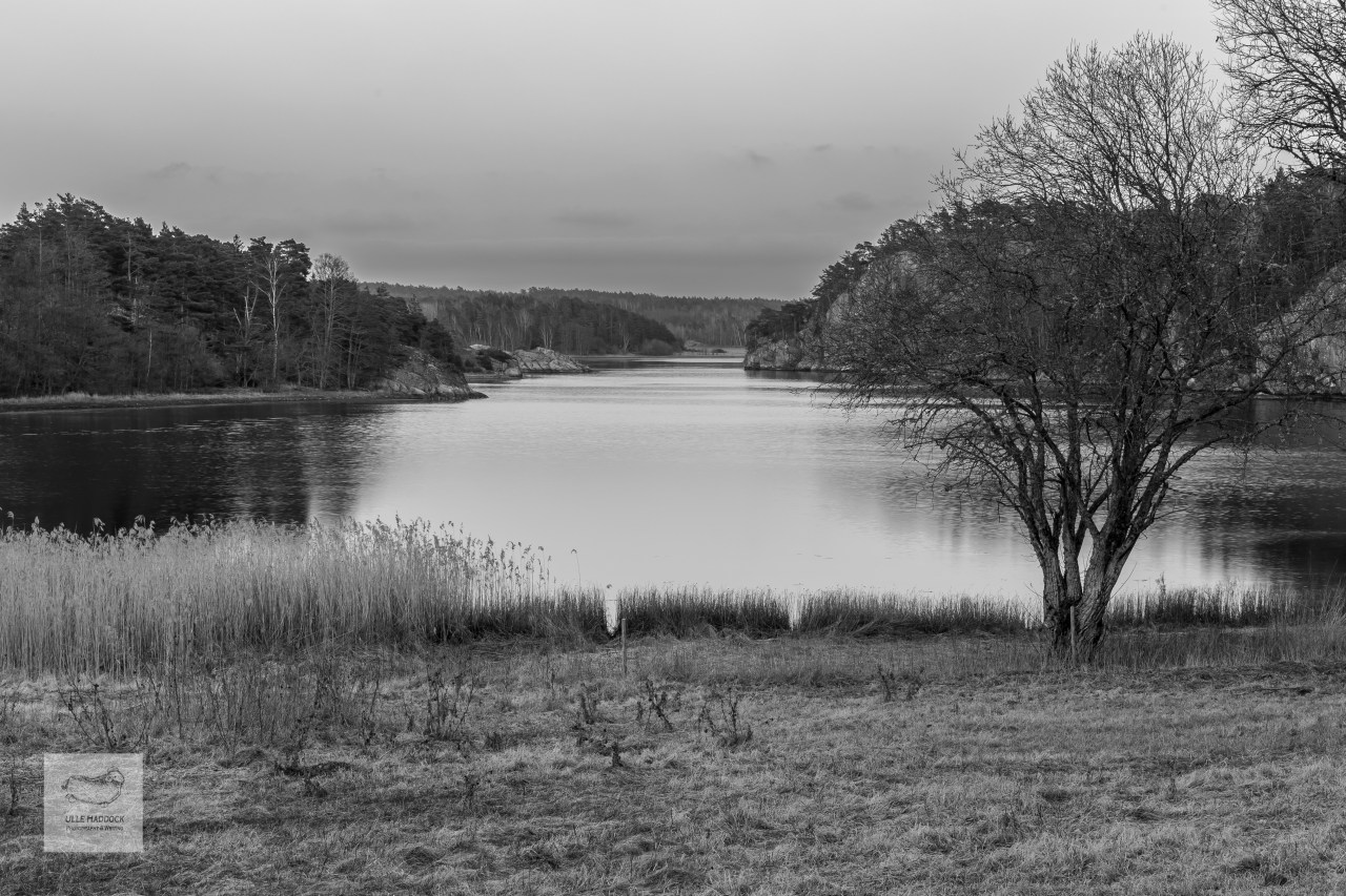 Monochrome Landscape