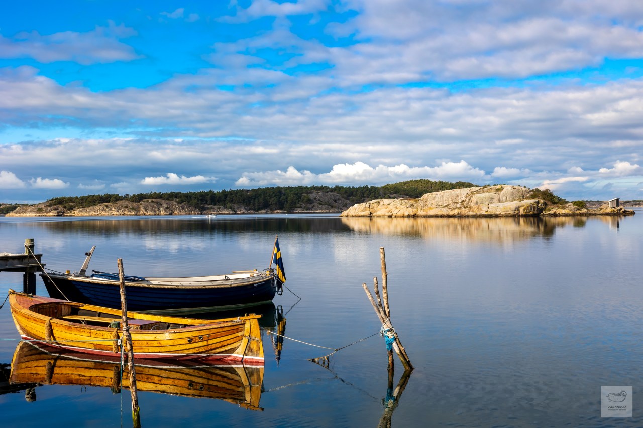 Almost Wordless Wednesday