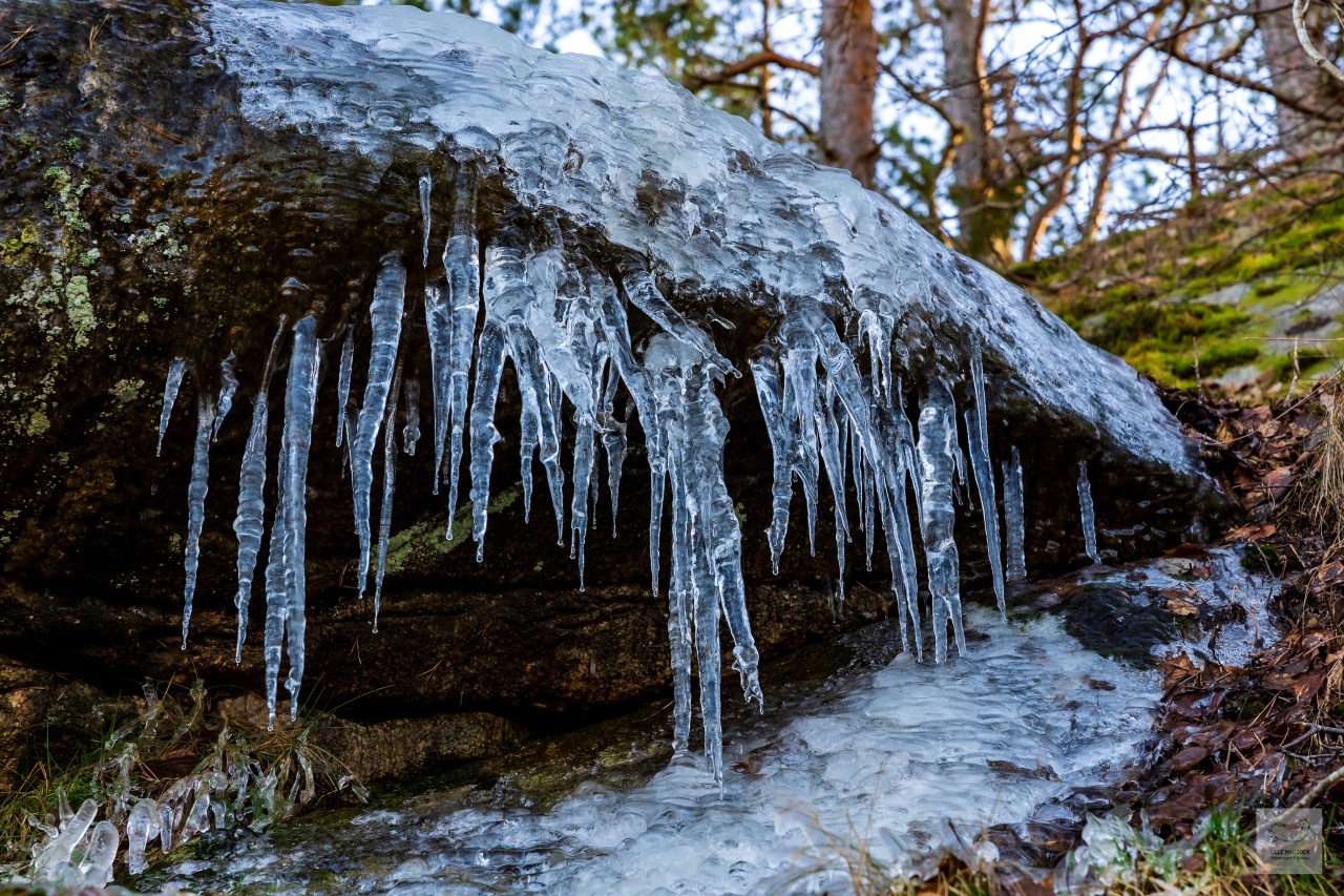 Icicle