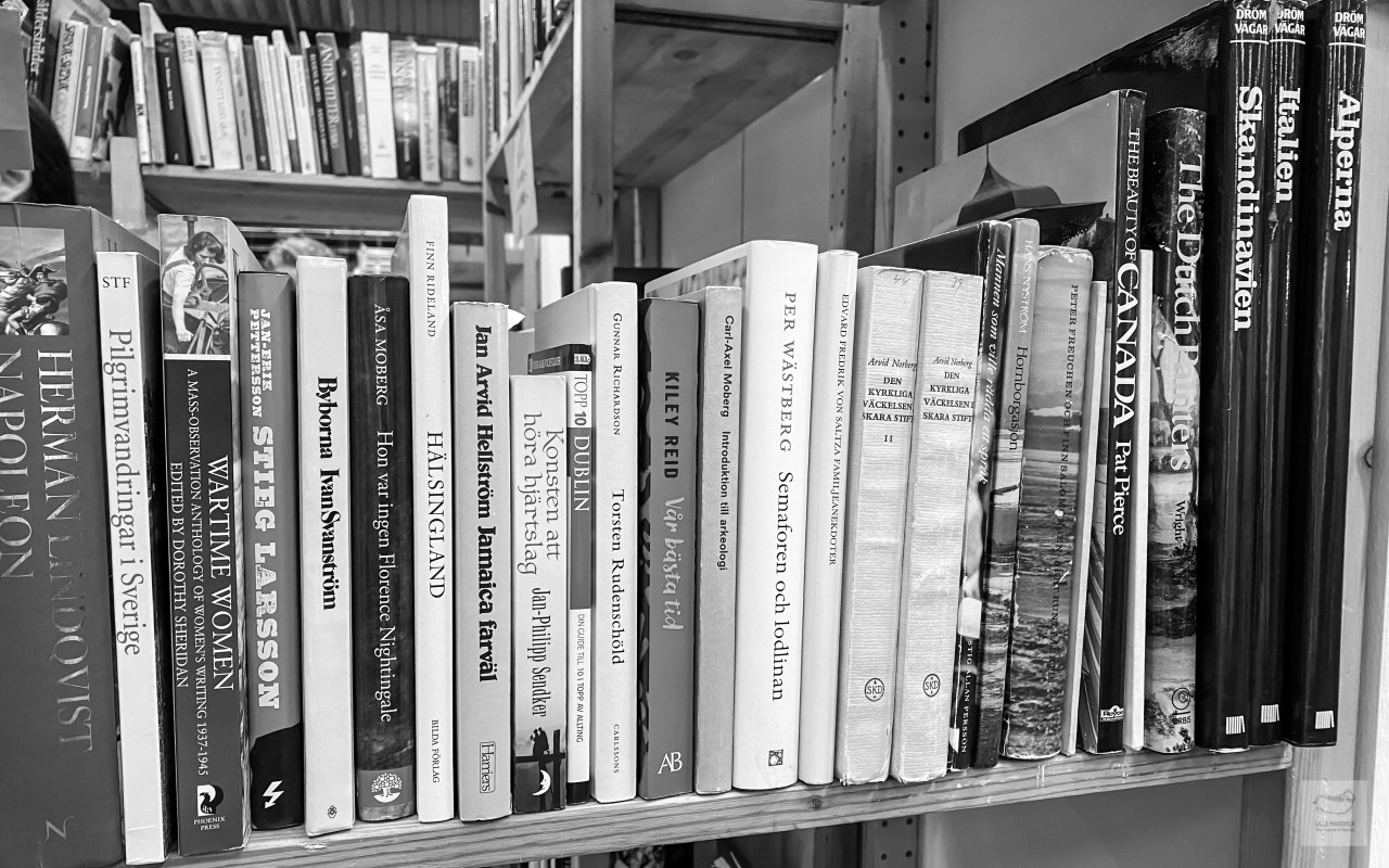 The obliviousness book