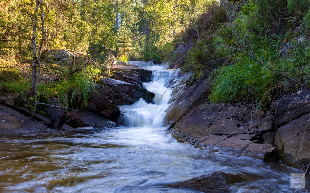 Swedish Poet: Gustaf&nbsp;Fröding