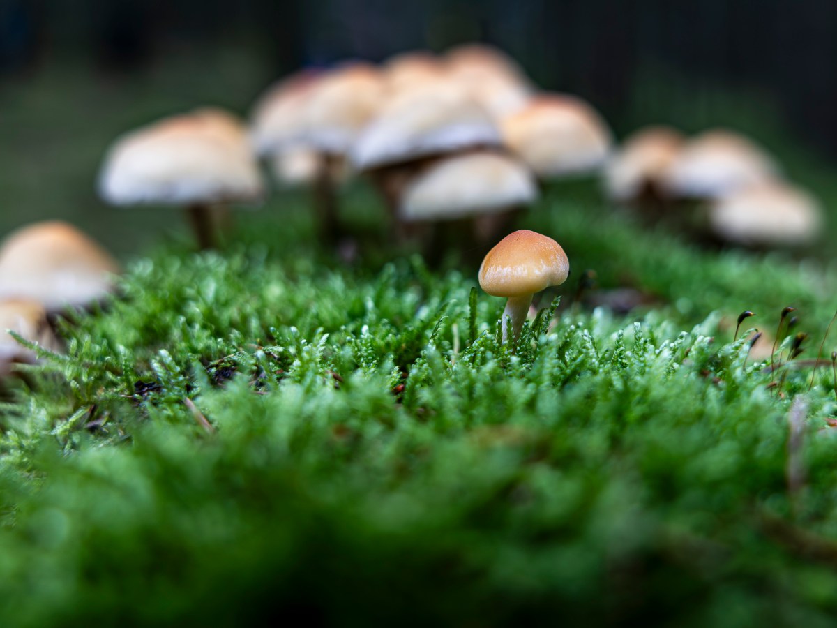 Dare to be&nbsp;different