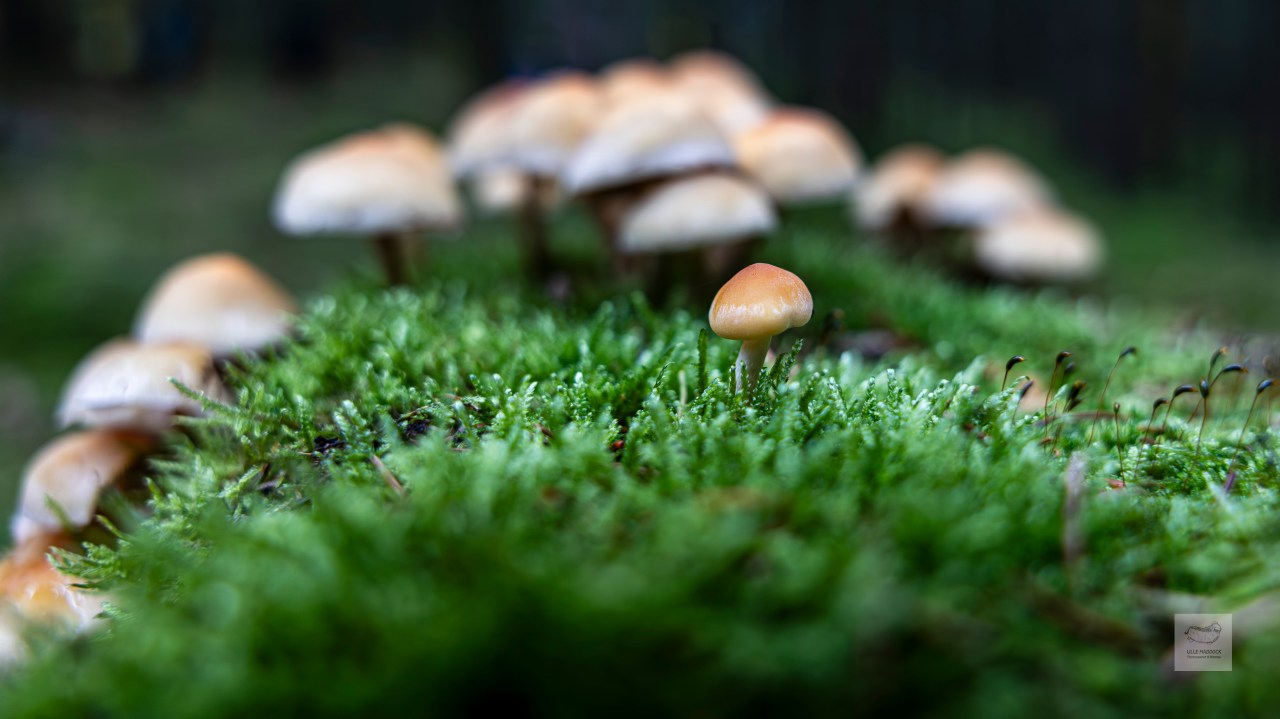 Dare to be&nbsp;different