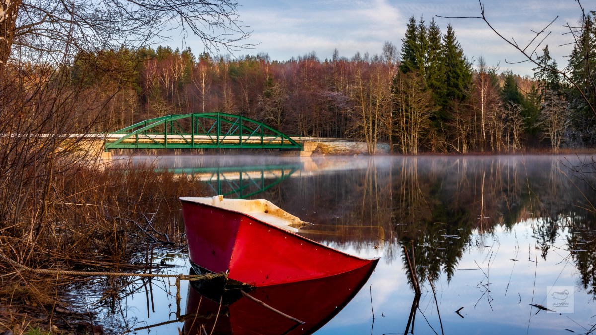 Bridge and boat