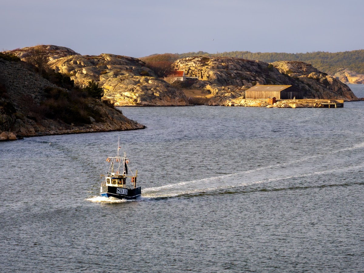 Catch of the&nbsp;day