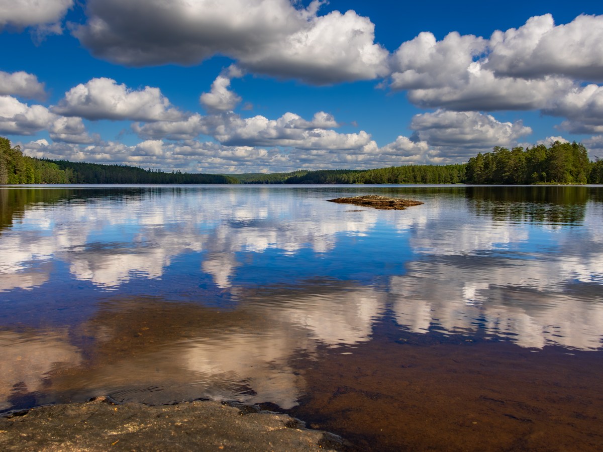 Forests and lakes