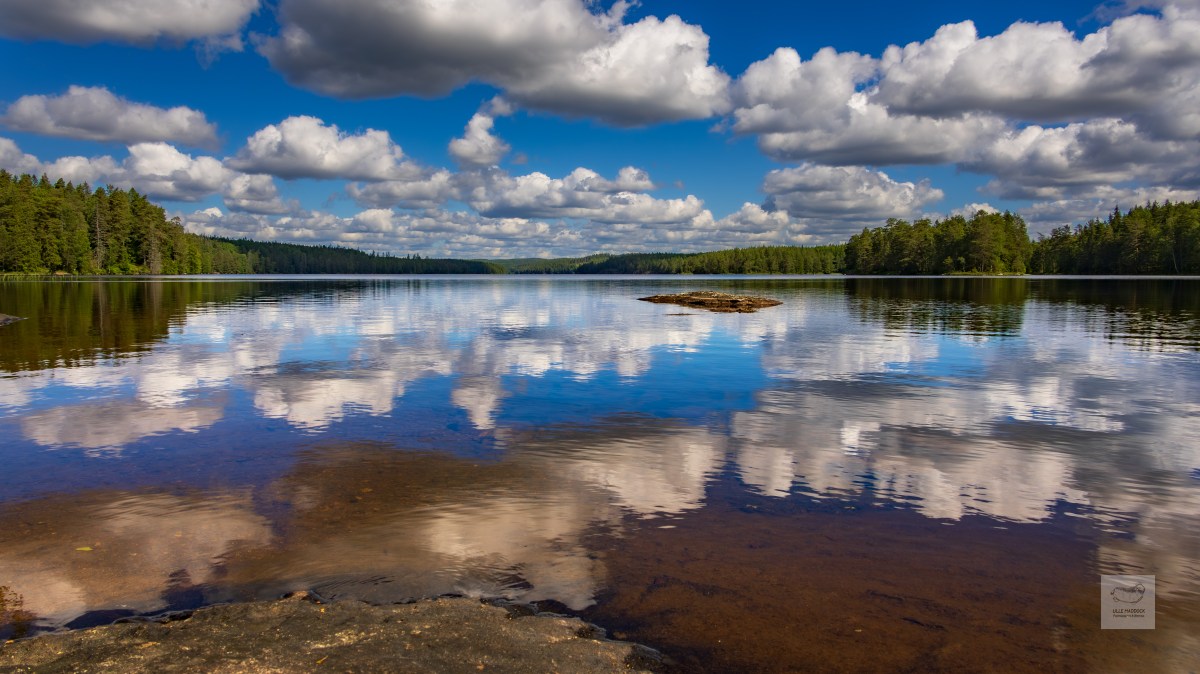 Forests and lakes
