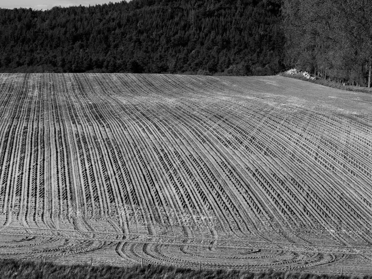 Patterns