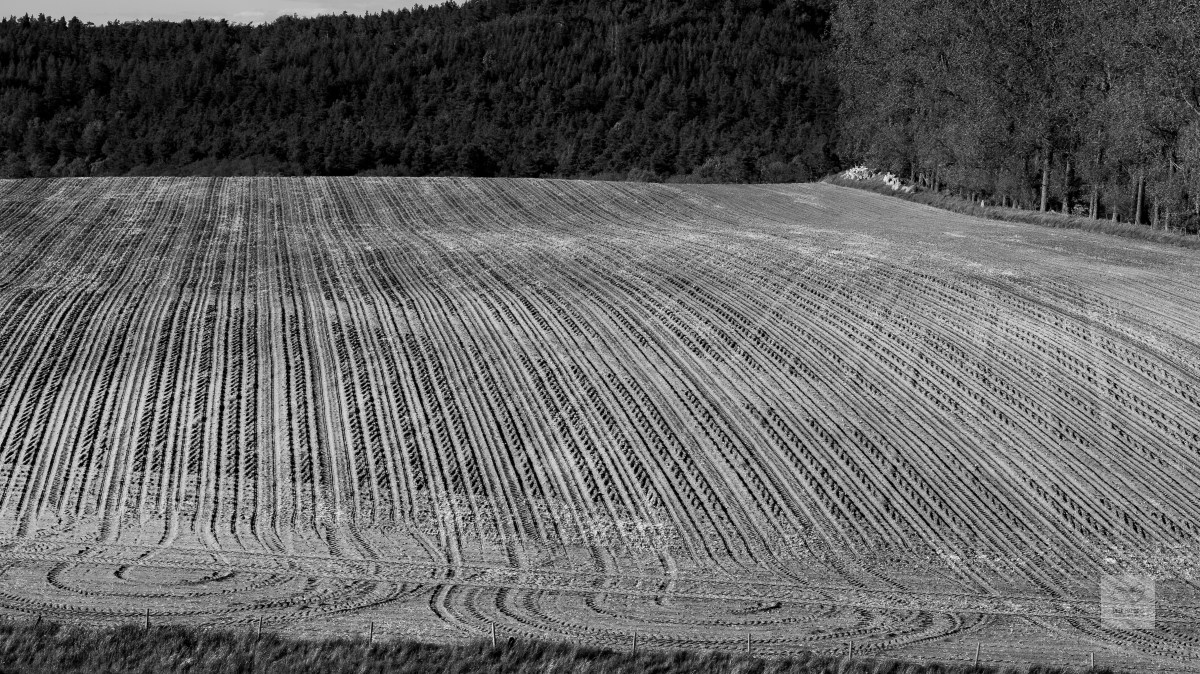 Patterns