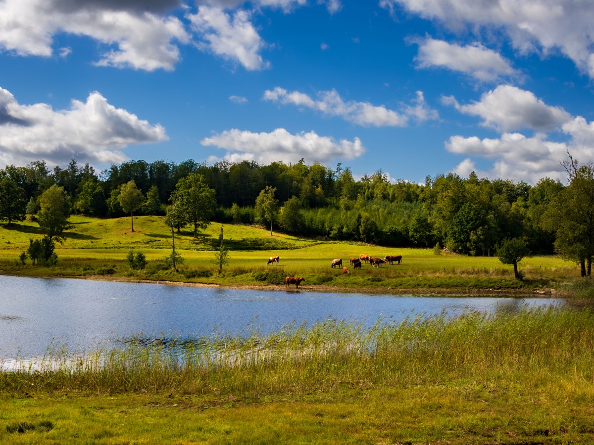 Idyll