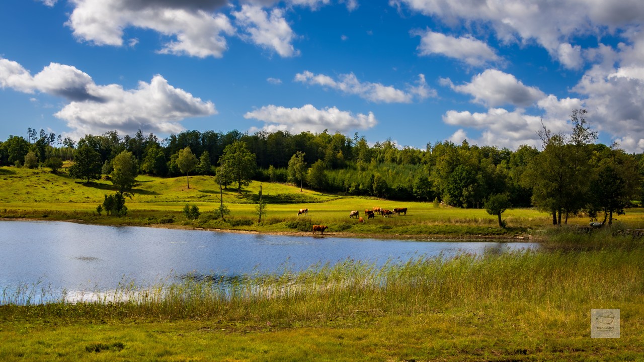Idyll