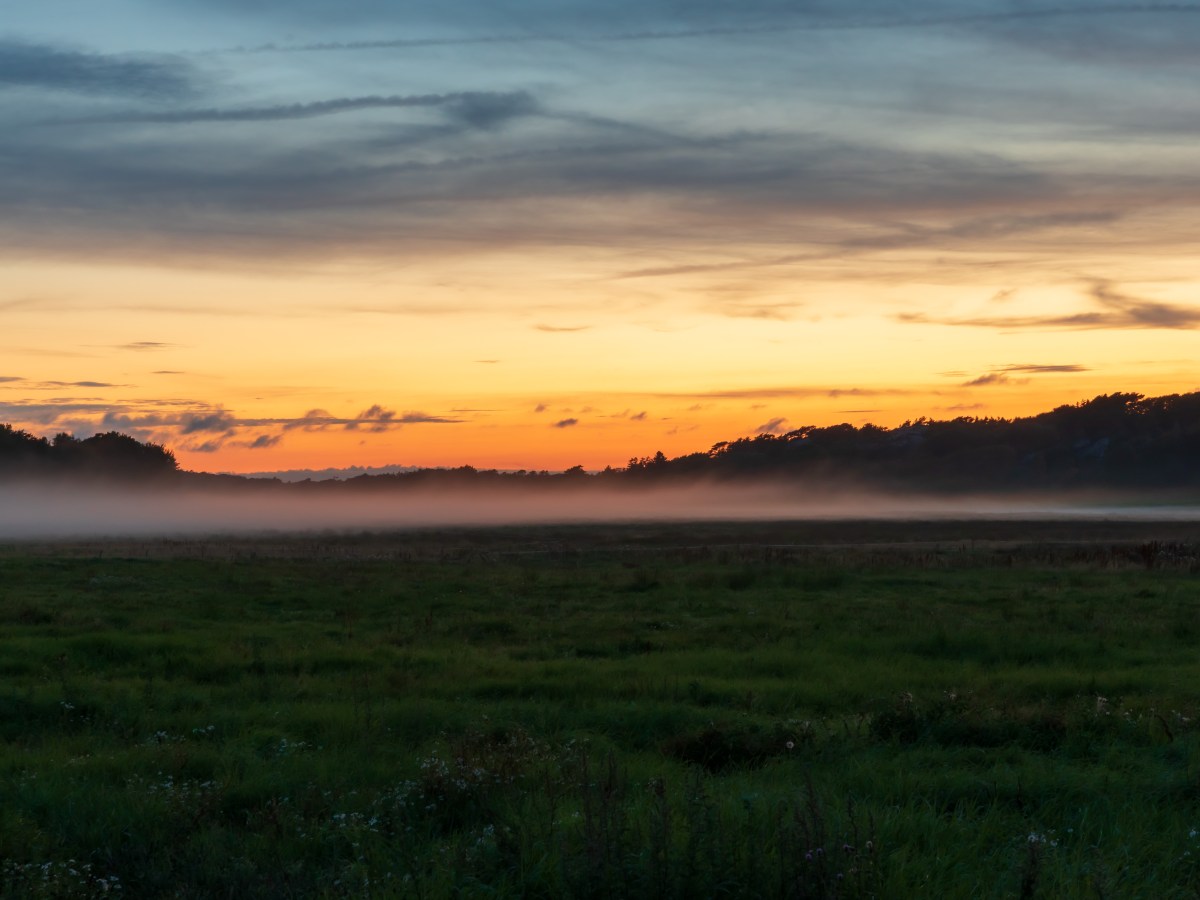 Mist