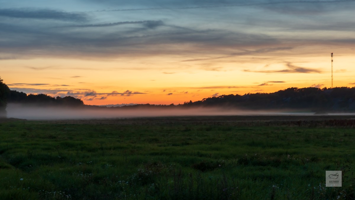 Mist